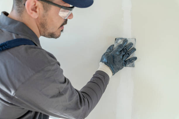 Best Repainting for Renovations  in Oakland, OR